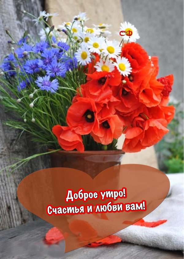 доброго утра цветы