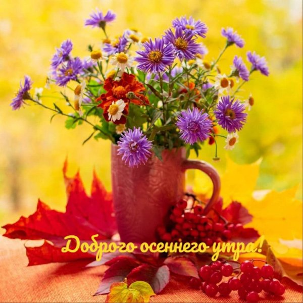 утро осеннее