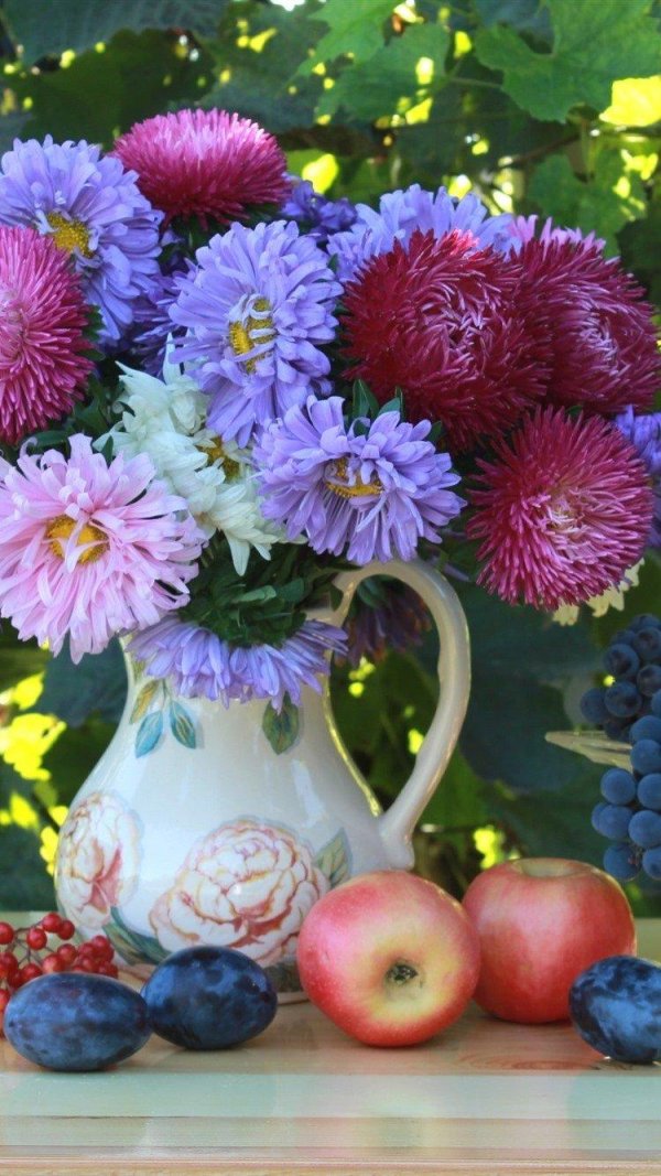 август астры цветаева