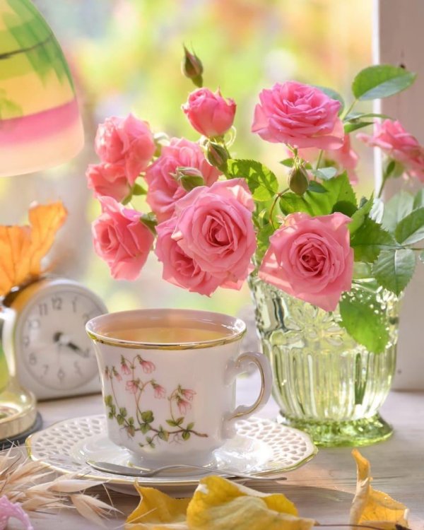 доброго утра с розами