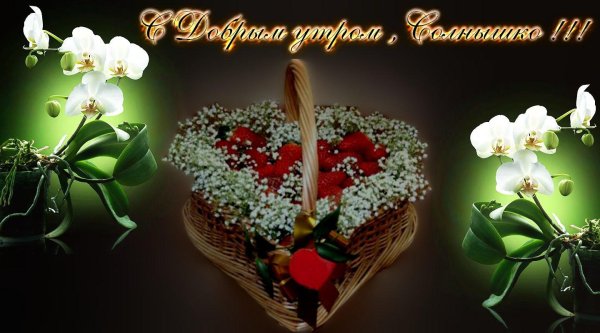 красивые цветы с пожеланиями