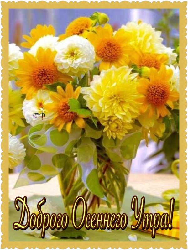 доброго утра осенние цветы