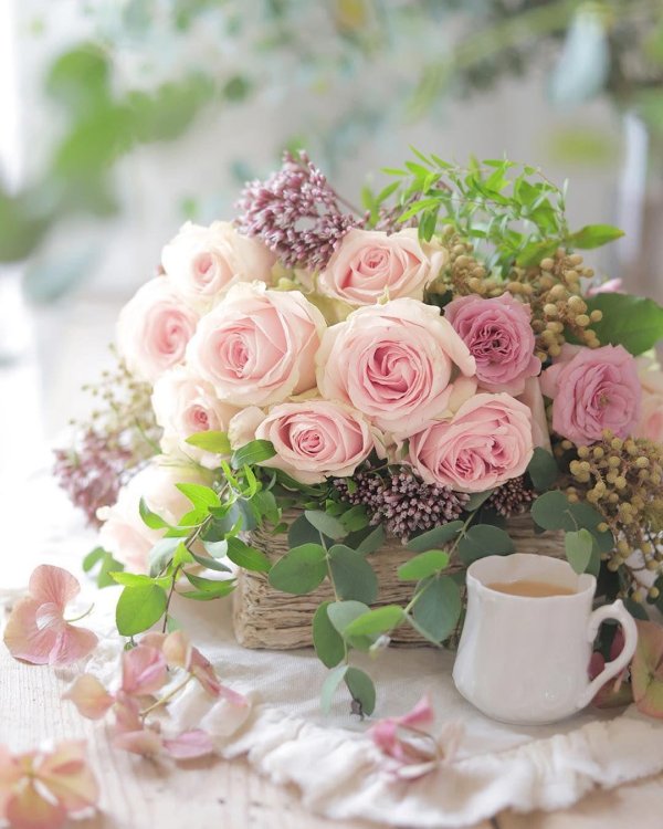 цветы флористика