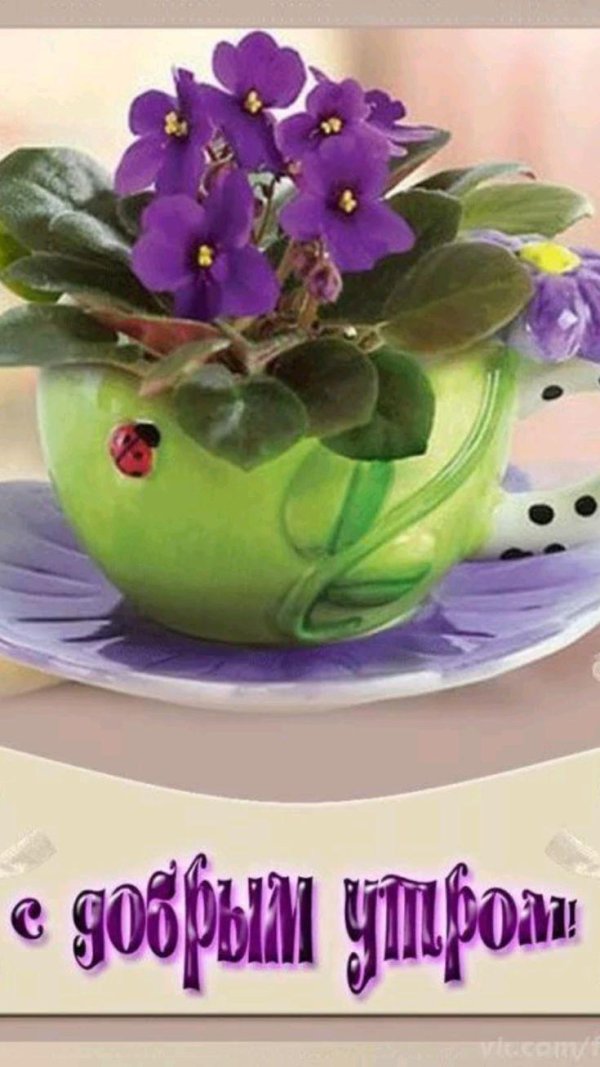добра утра