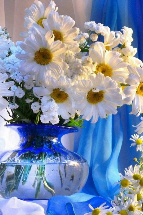 доброго утра с ромашками