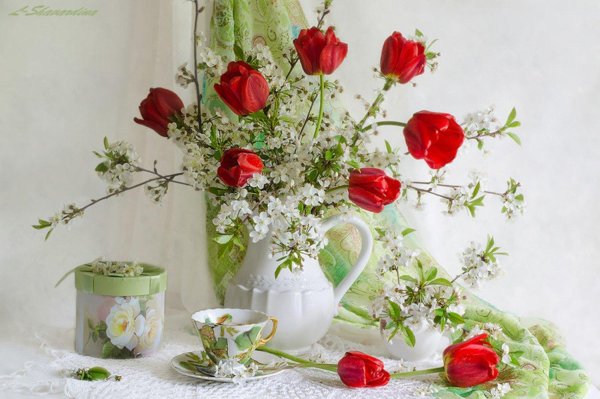 утренние цветы