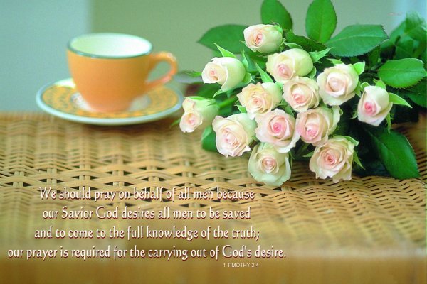 чайная роза