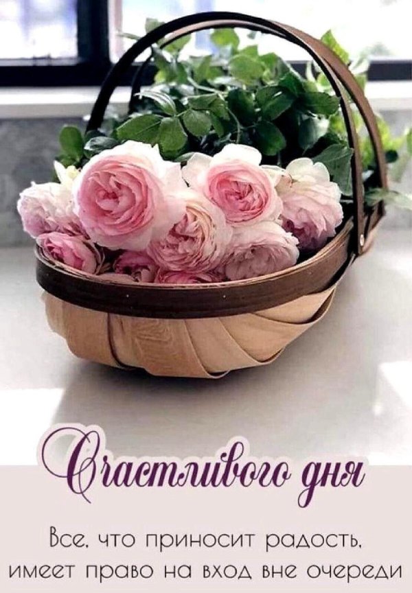 доброе утро радости