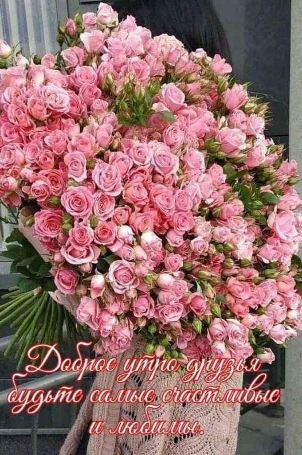 кустовая роза