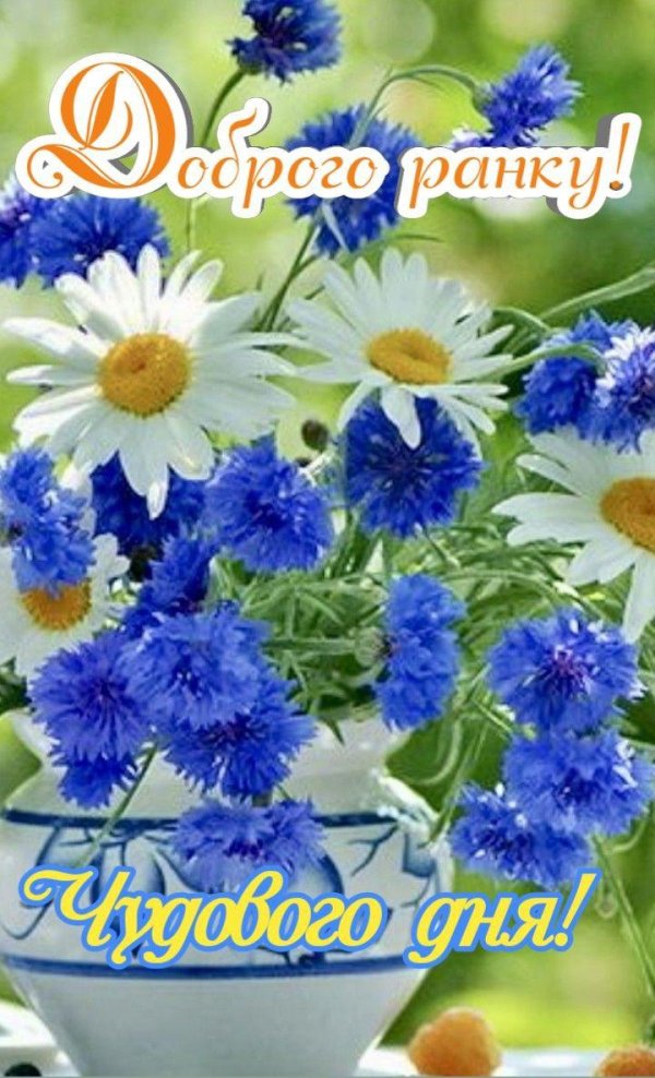 ромашки и васильки