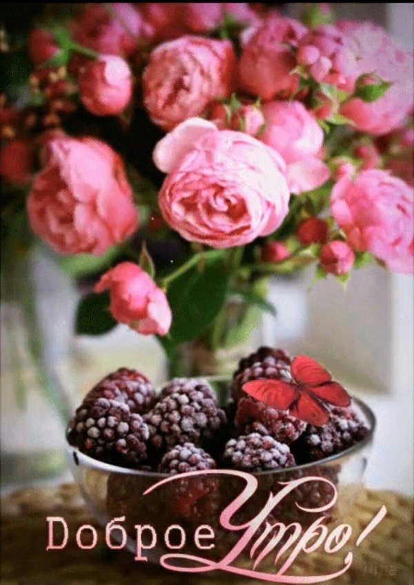 доброе утро малина