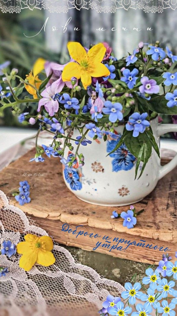 доброемутро незабудки