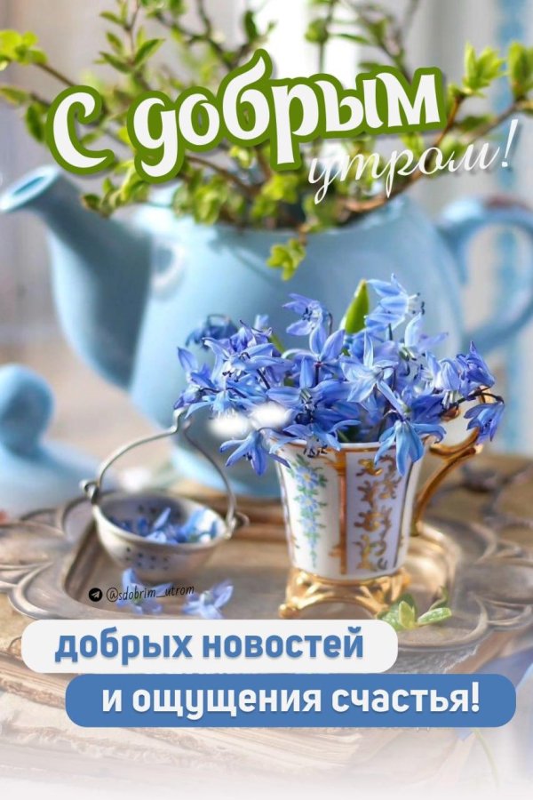 с добрым утром незабудки