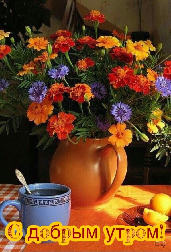добра утра