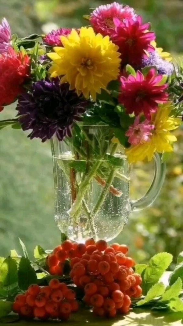 осенние цветы