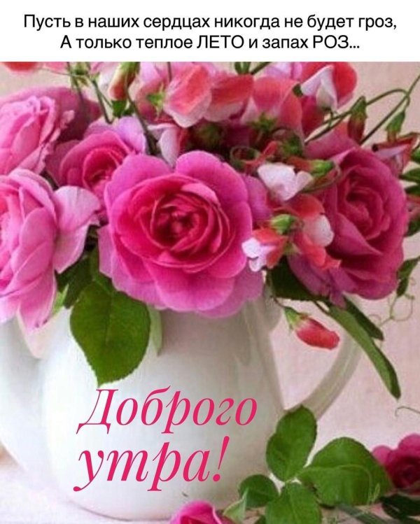 шикарные букеты с добрым утром