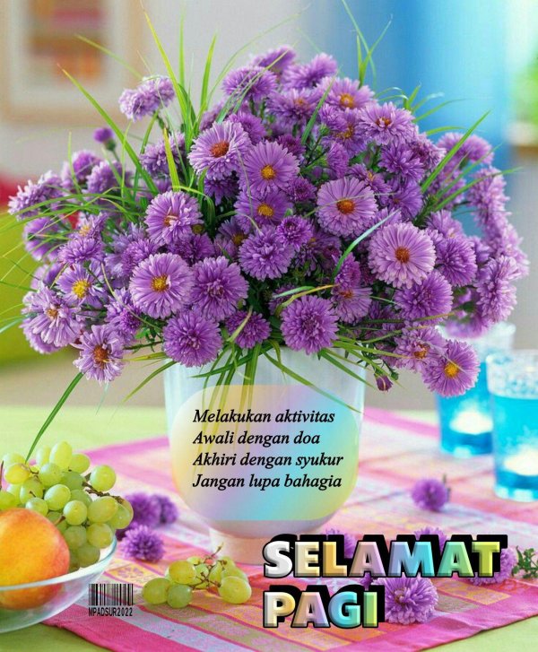 растение красивое