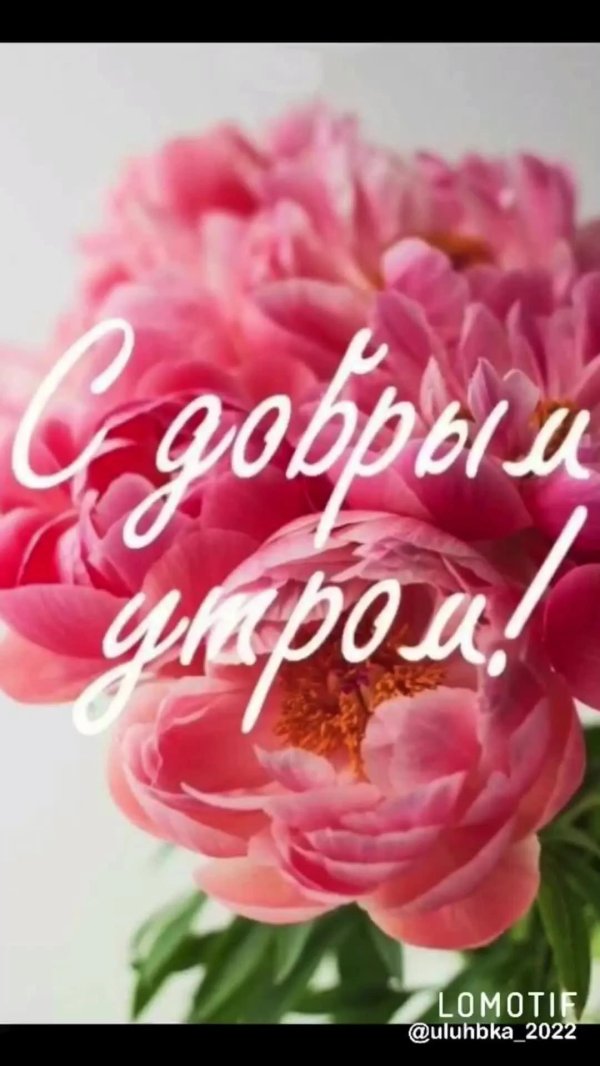 доброе утро пионы с надписью