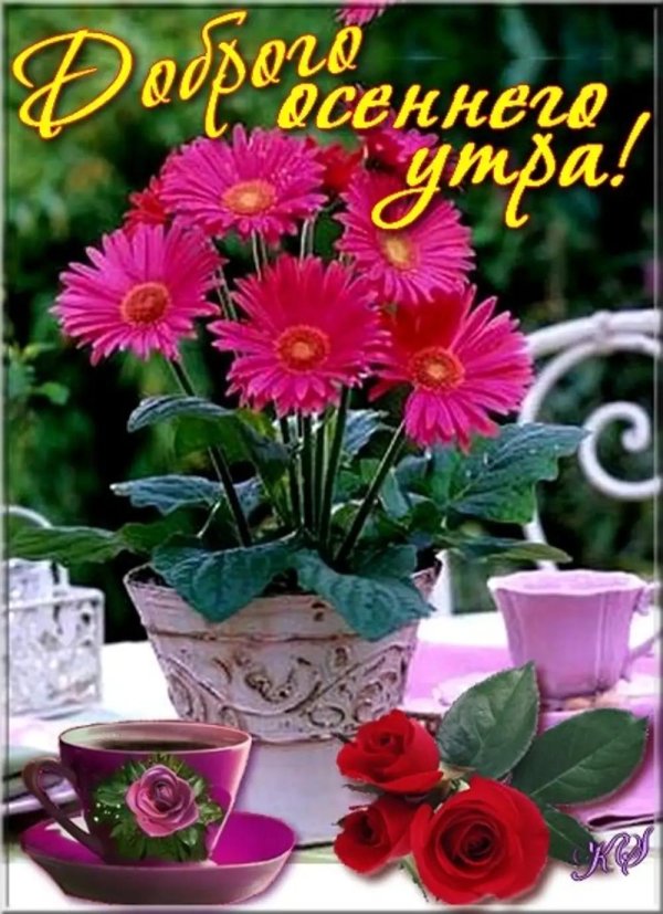 пожелания доброго утра и хорошего дня августа