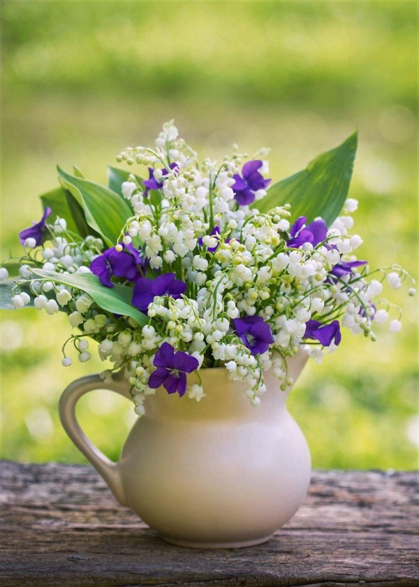 С цветами с добрым