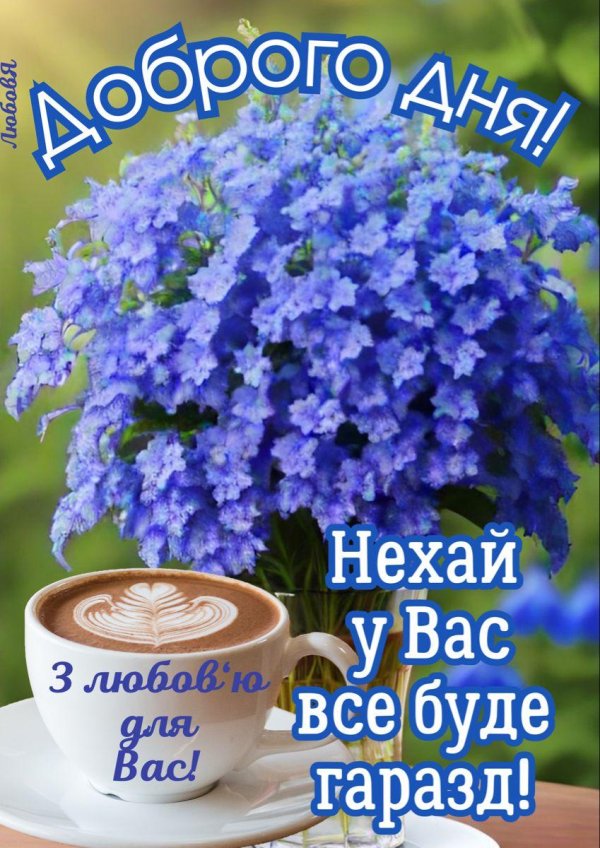 сенполия букет незабудок