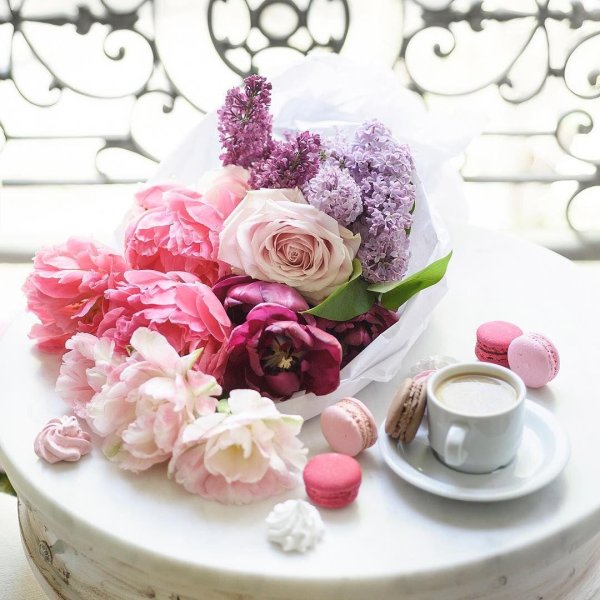 утренние цветы