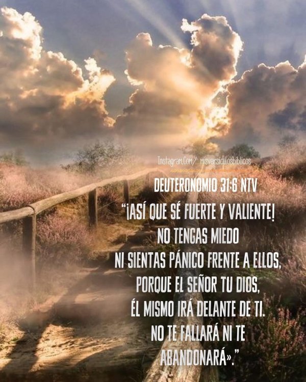 дорога любви