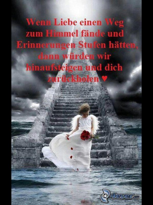 ангела ангел