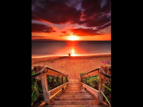 мечты мечты