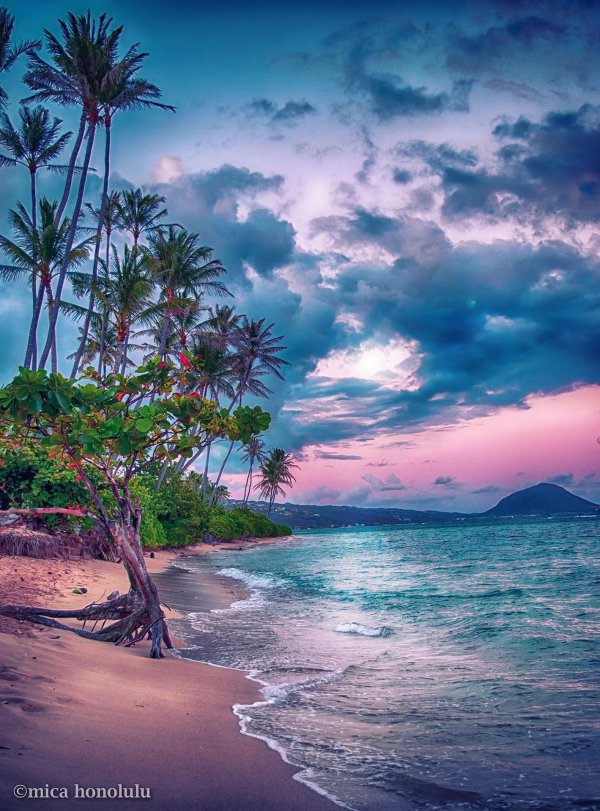 природа пляж