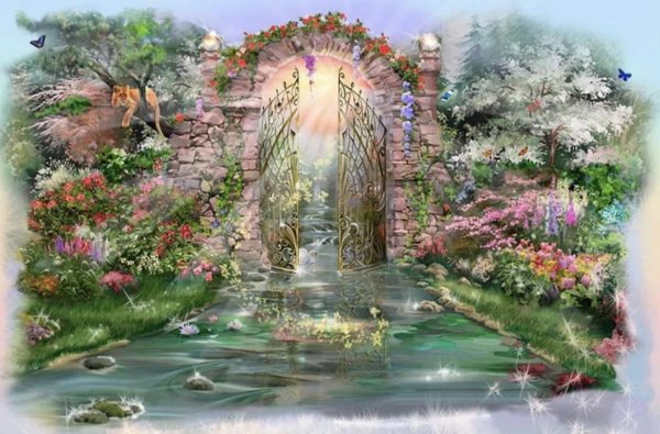 волшебная страна чувств