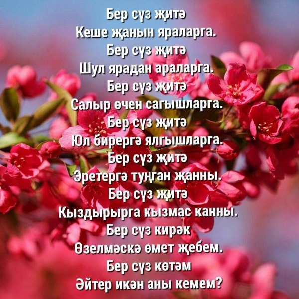 туган конон менэн эсэй