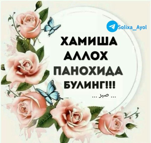 аллохни панохида булинг