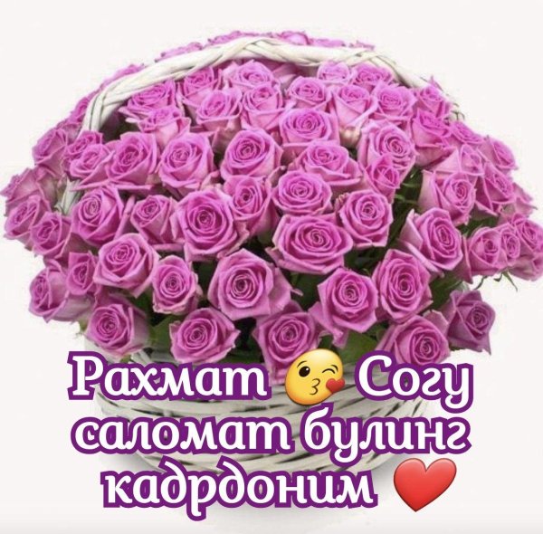 тугилган кунингиз билан табриклайман