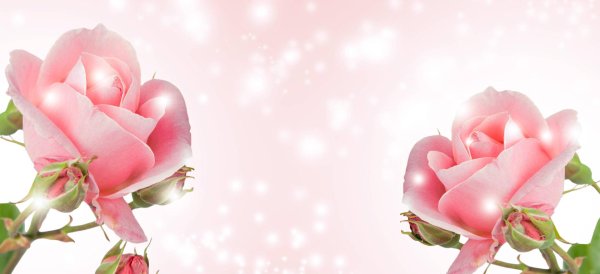 фон для поздравлений