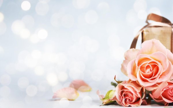 фон для поздравлений