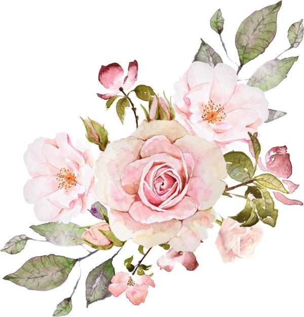 цветок акварель