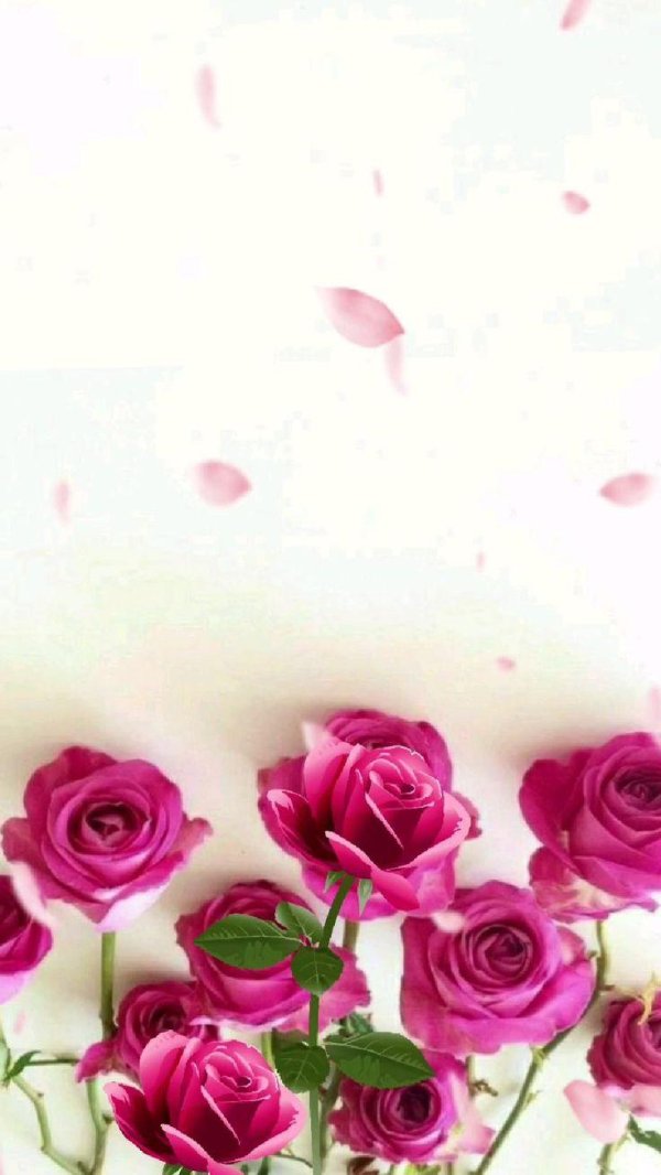 цветочные фоны