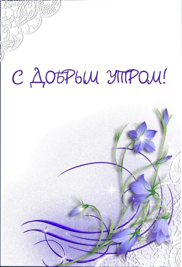 цветок колокольчик