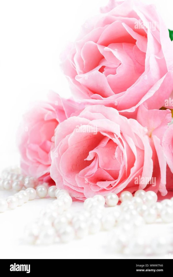 жемчуг розовый