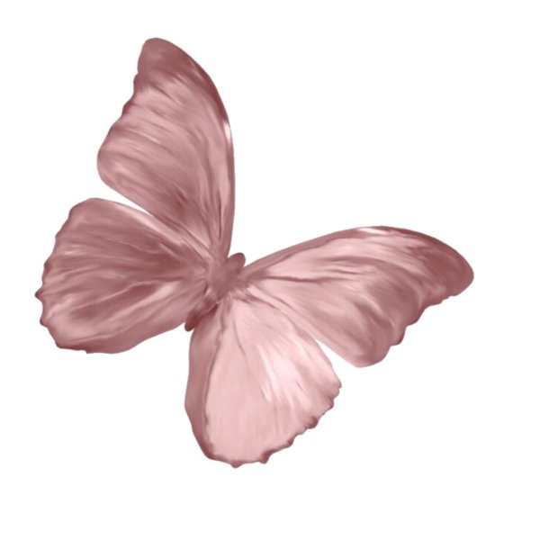 бабочка розовая