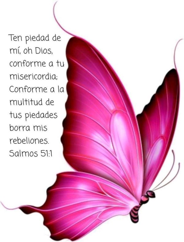 бабочка сиреневая