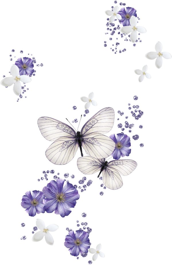 сиреневая бабочка