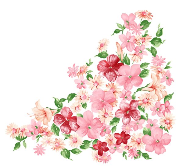 цветок без фона