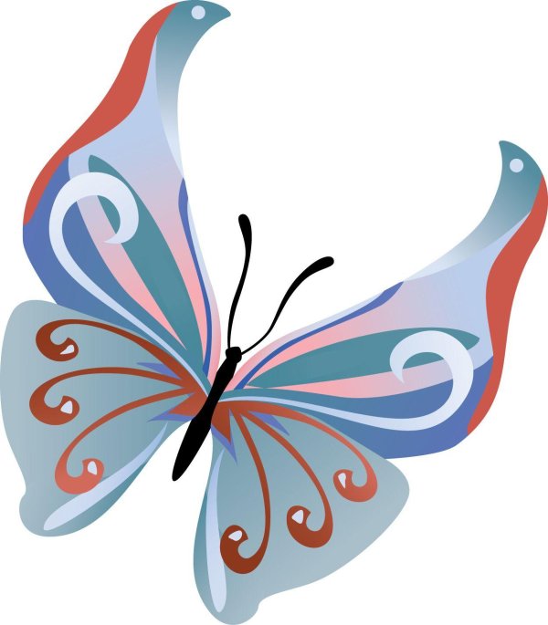бабочка рисунок