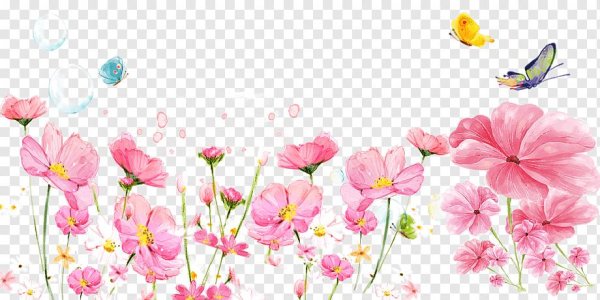 иллюстрации цветов