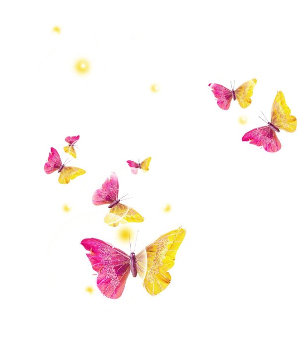 россыпь бабочек на прозрачном фоне