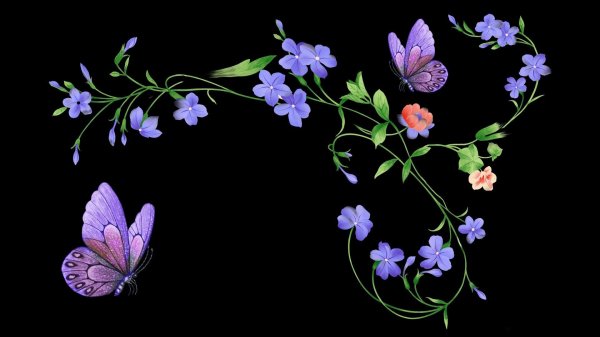 цветок бабочка