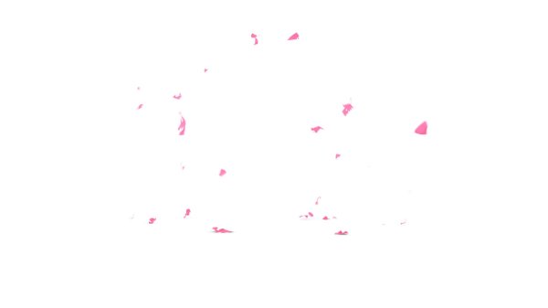 лепестки сакуры