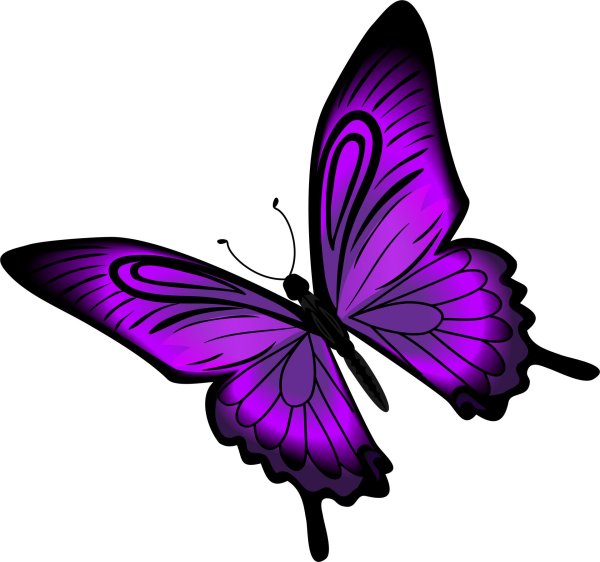 фиолетовые бабочки для печати